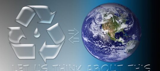 Encouraging Sustainability and Social Responsibility in Business